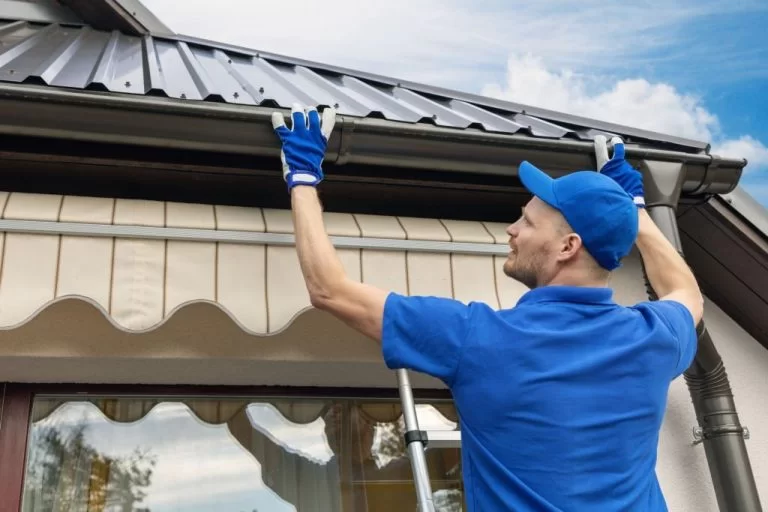 Gutter Cleaning Ideas