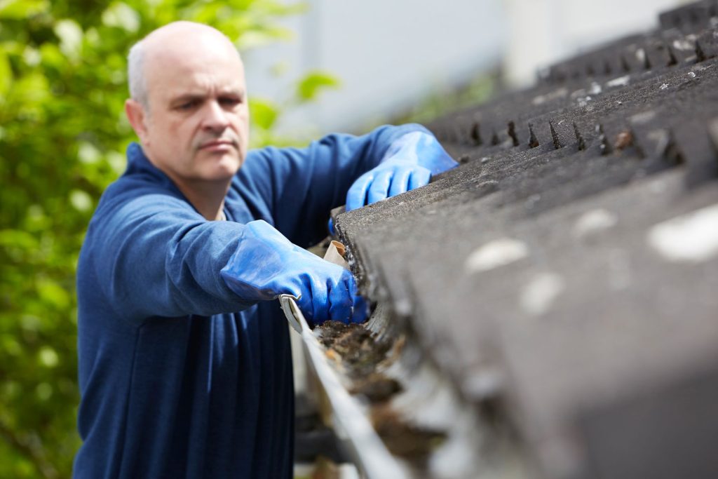 Gutter Cleaning Ideas