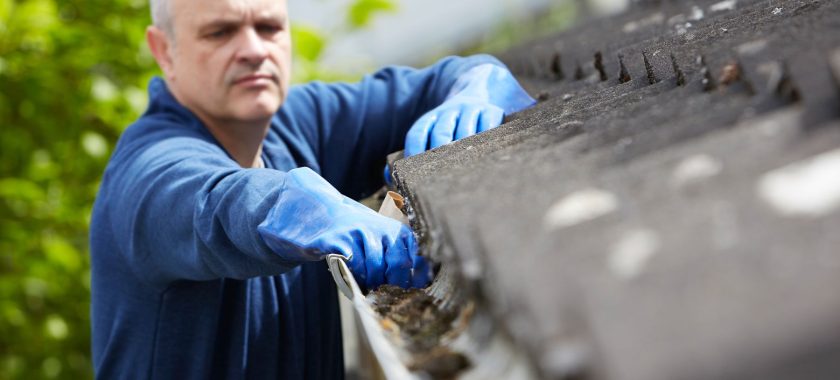 Gutter Cleaning Ideas